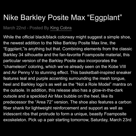 NIKE BARKLEY POSITE MAX “EGGPLANT” SNEAKER🔥 - Picture 16 of 16